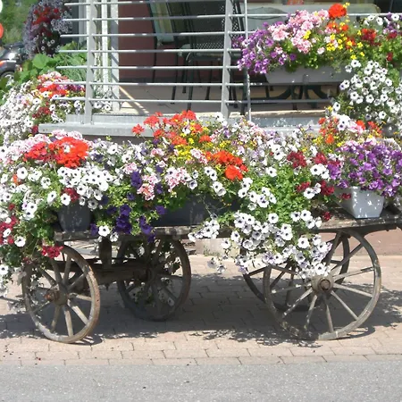 Hotel Schiff In Den Bergen 4*