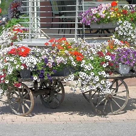 Schiff In Den Bergen