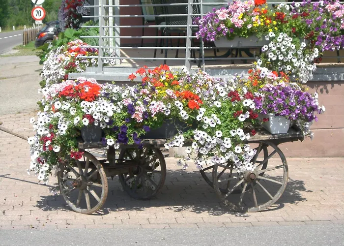 Hotel Das Schiff In Den Bergen 4*